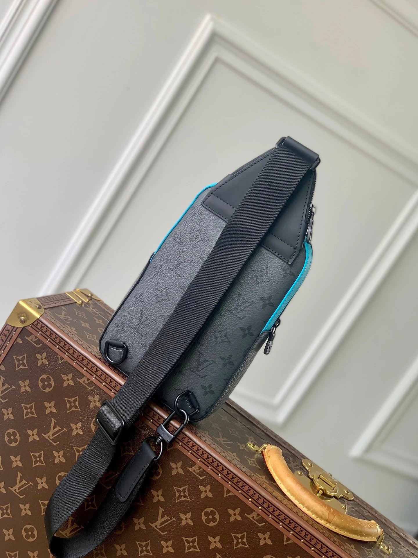 Louis Vuitton Bags