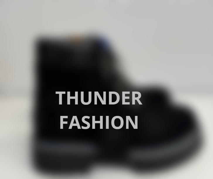 Louis Vuitton Shoes