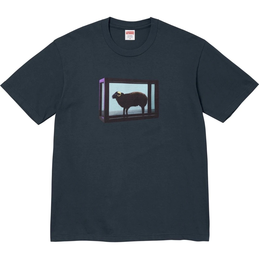 Supreme Shirts