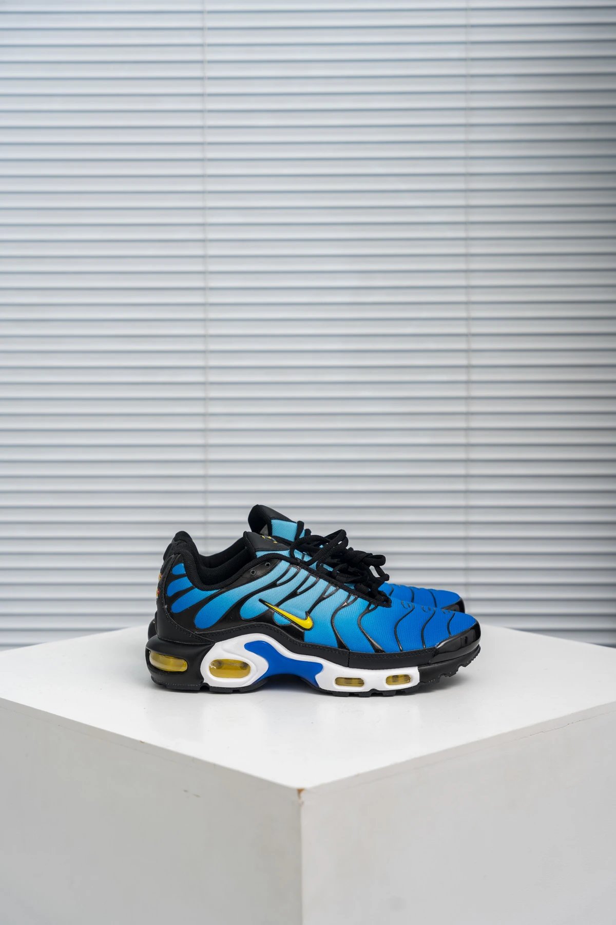 Nike Air Max Plus TN SE Black