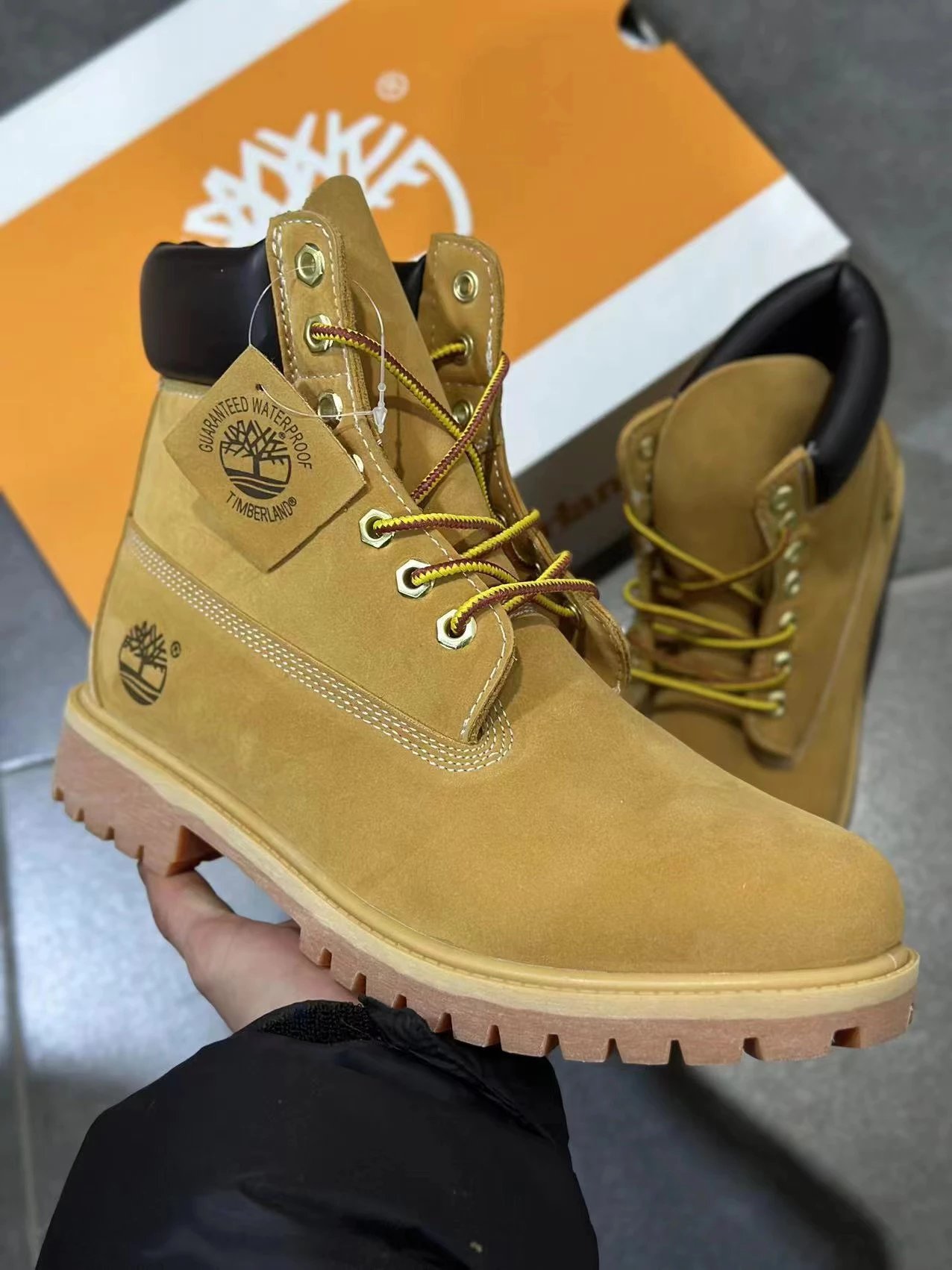 Timberland Shoes