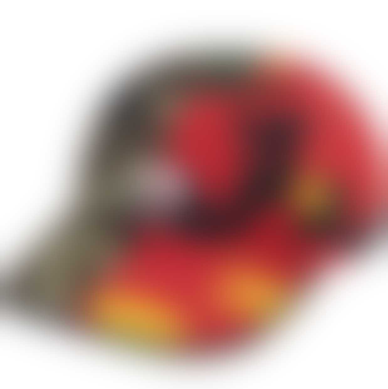 The North Face Headwear