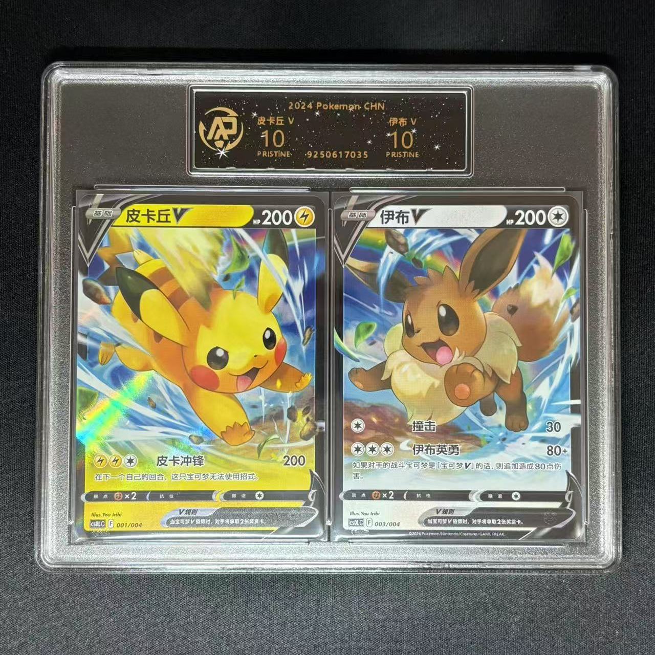 Pokemon Accessories