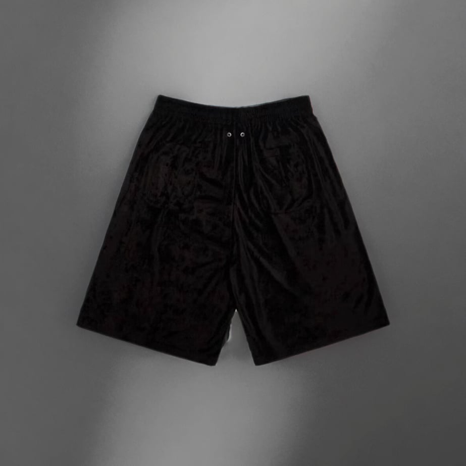 The North Face Shorts