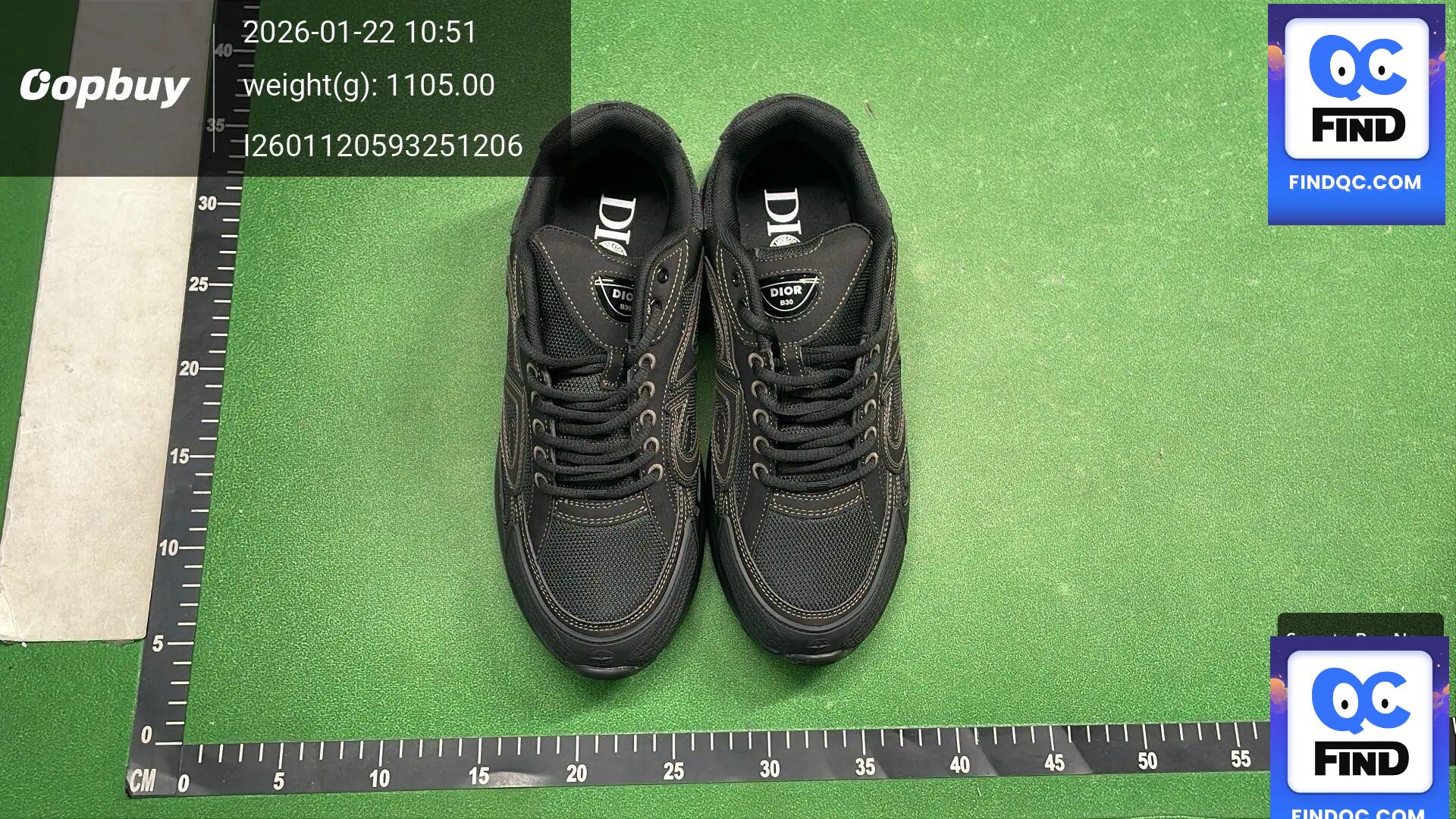 Dior B30 Sneakers QC