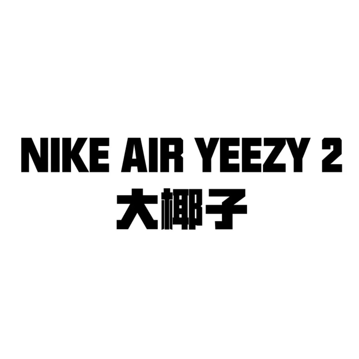 NIKE AIR YEEZY 2 大椰子