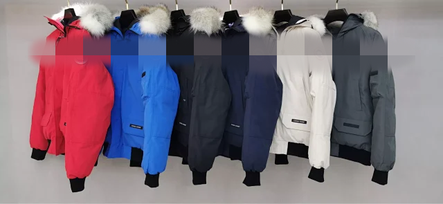 Enlarge 01 -08 style down jacket