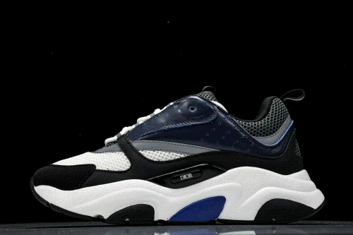 Dior B22 Sneaker Black White