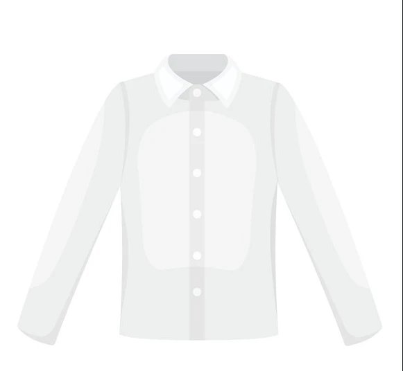 Ralph Lauren Blouse