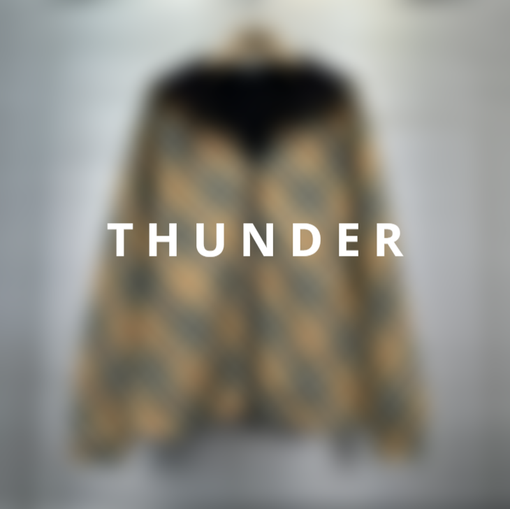 BURBERRY D082 jacket