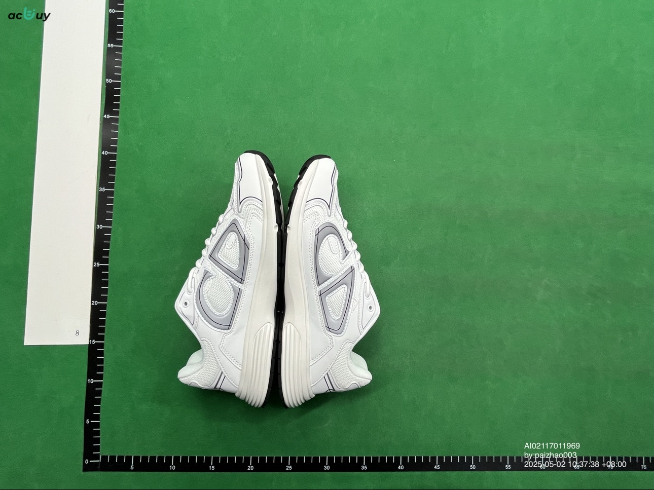 Dior B30