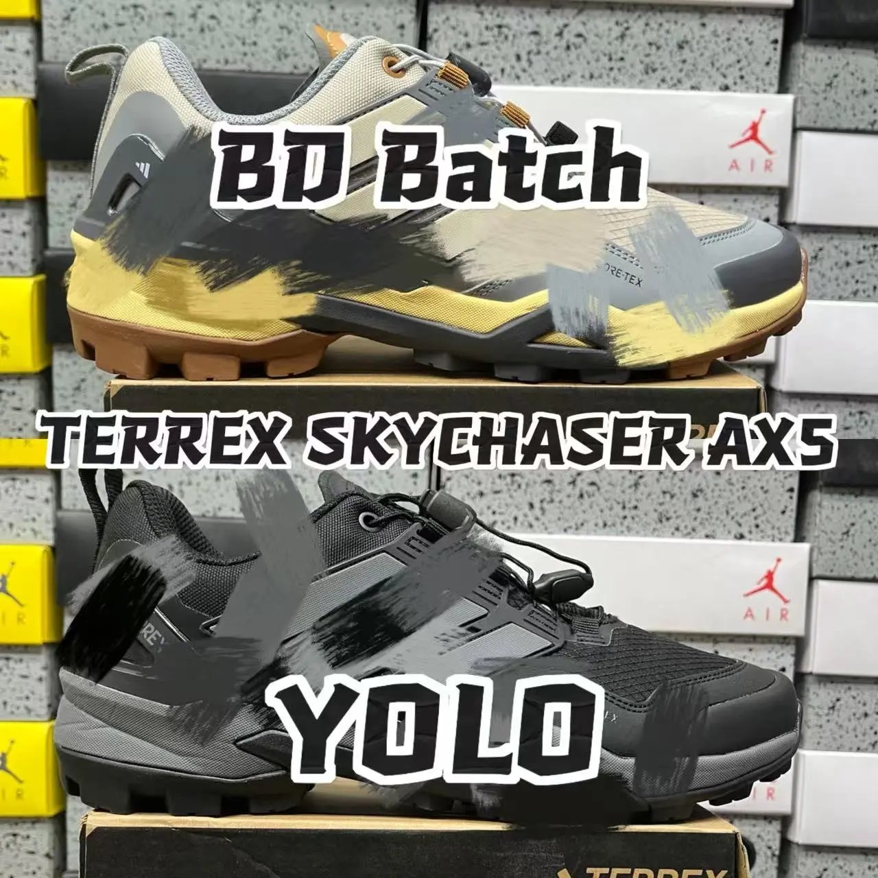 Adidas Terrex Skychaser AX5