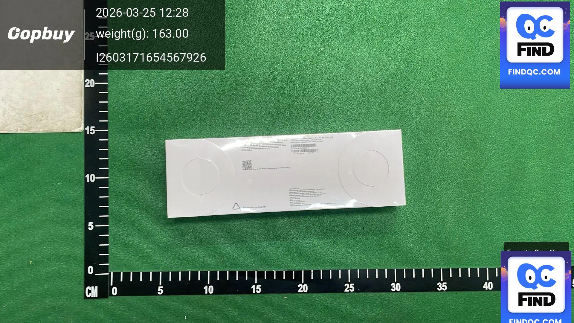 Apple AirPods Pro QC