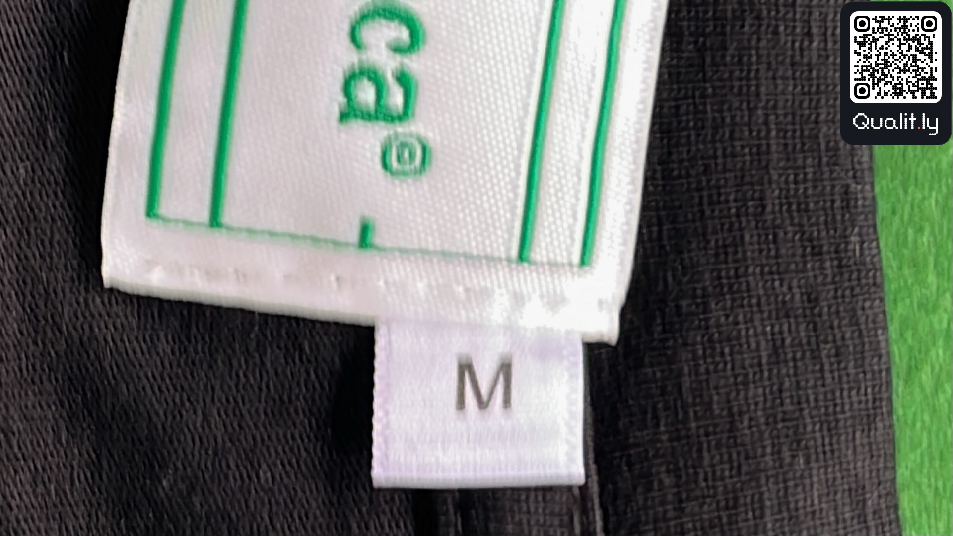 T-shirt — foto QC 1 de 16