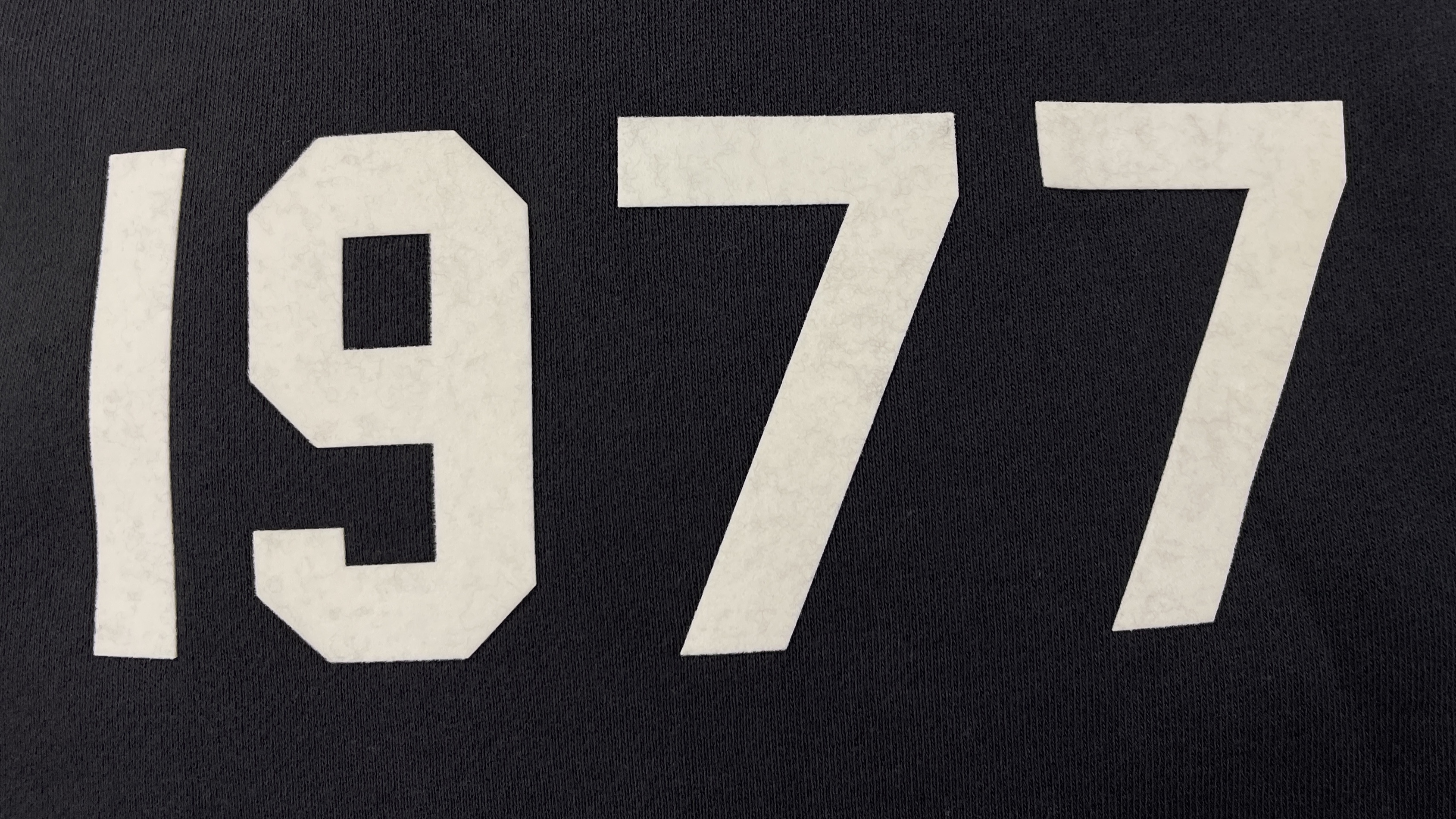 Hoodie QC photo 2 of 12