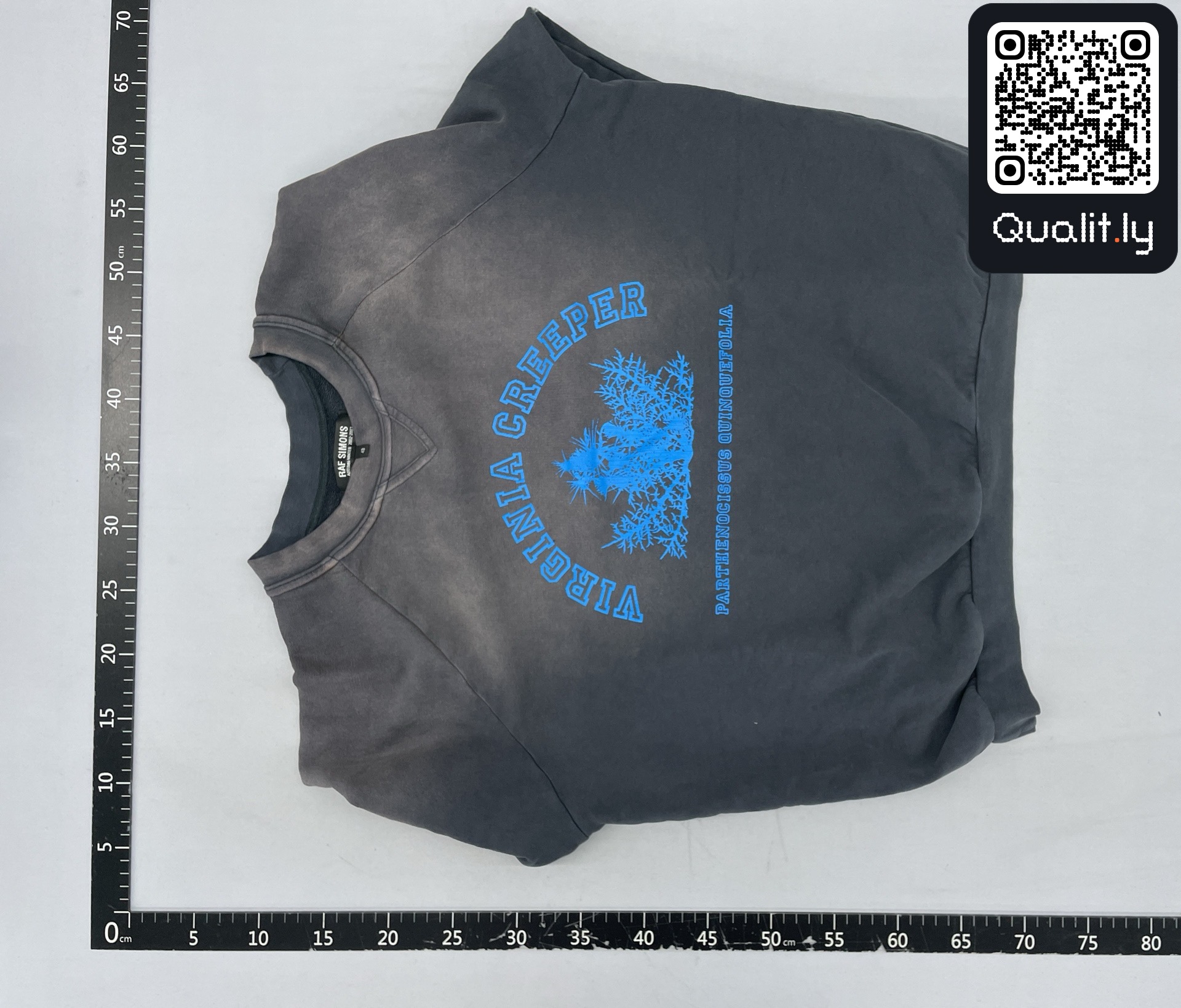 Sweater — QC-foto 3 van 88