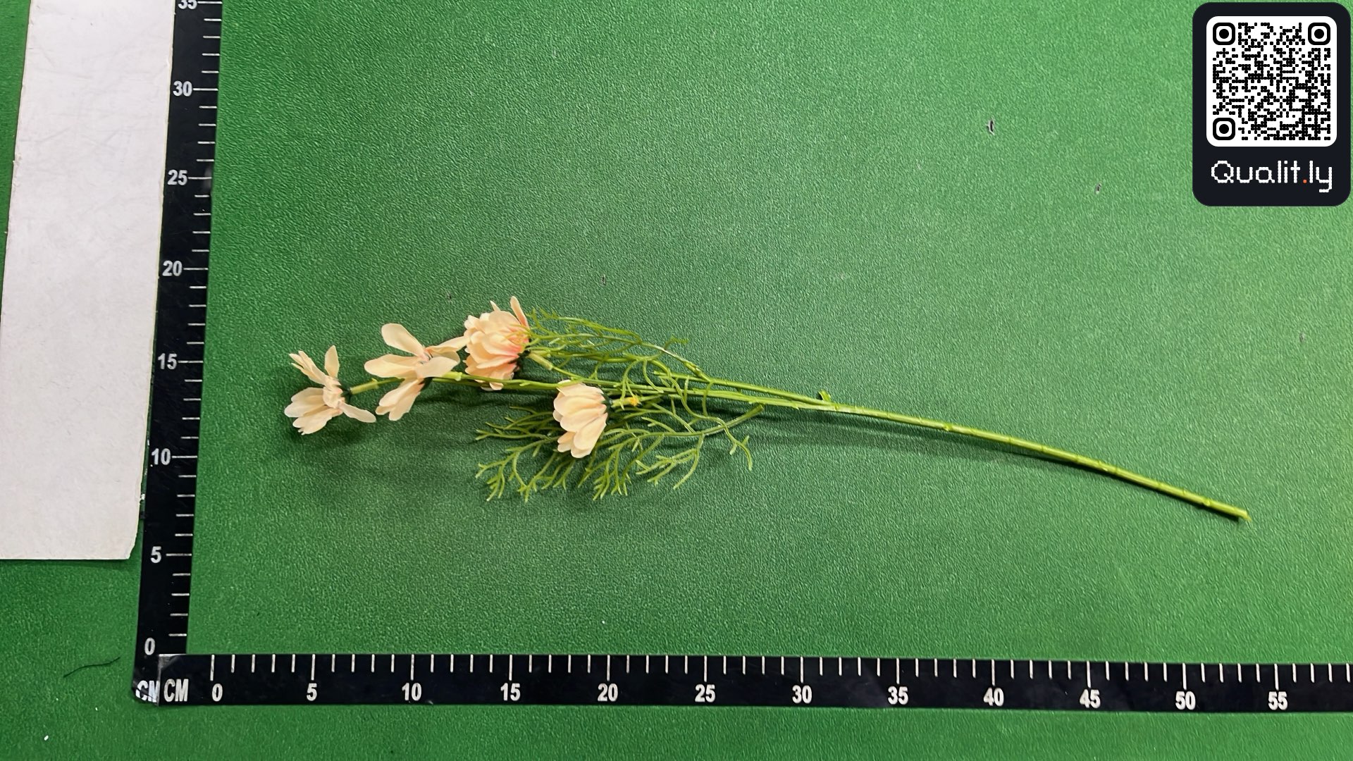 QC-foto 1 van 3