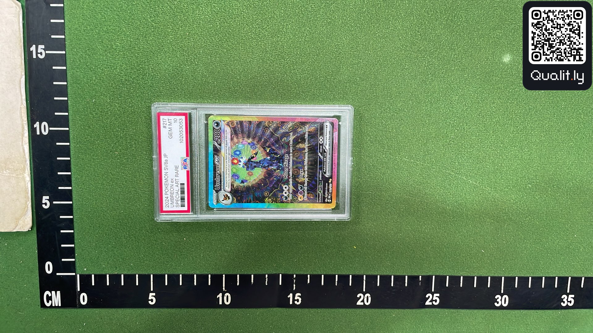 QC 照片 3 / 11