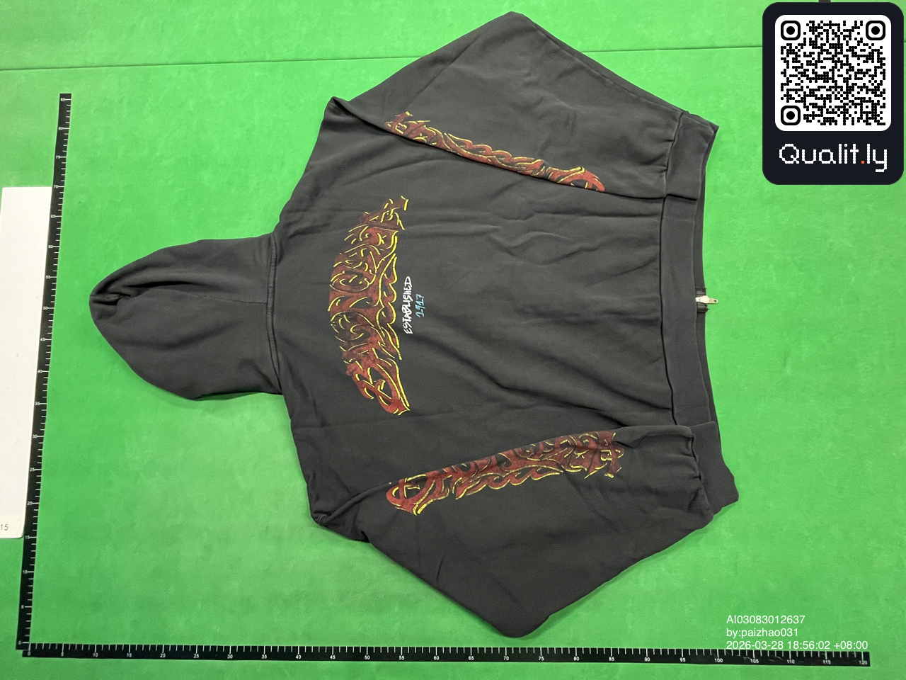 Hoodie QC photo 3 of 18