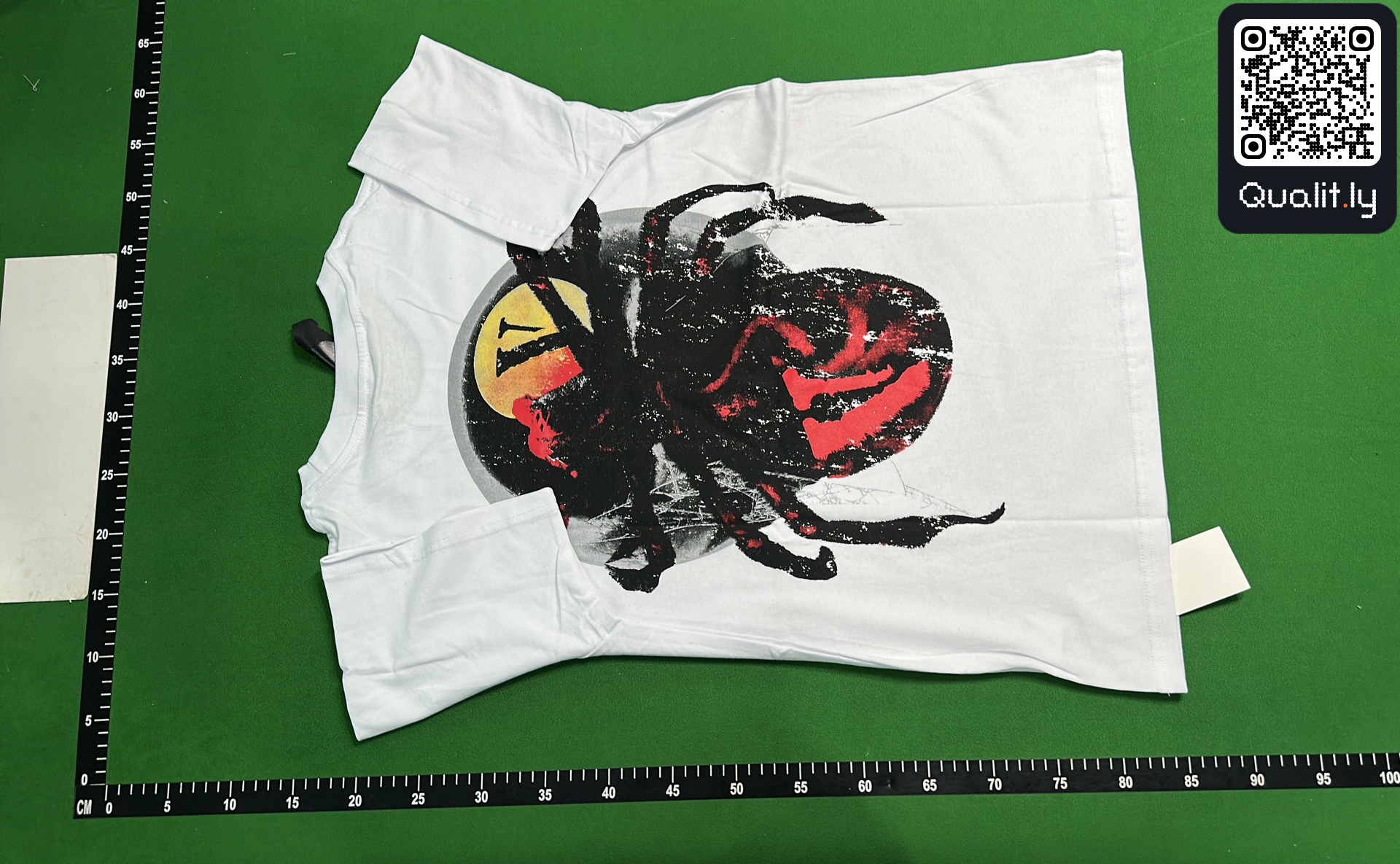 T-shirt QC photo 3 of 252