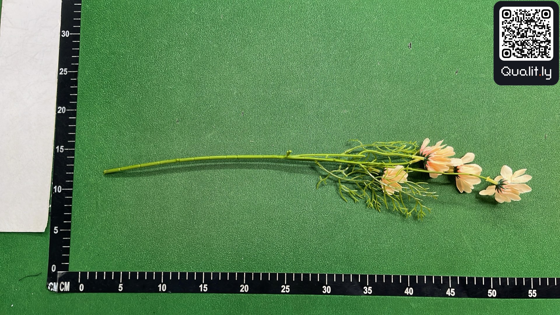 QC-foto 2 van 3