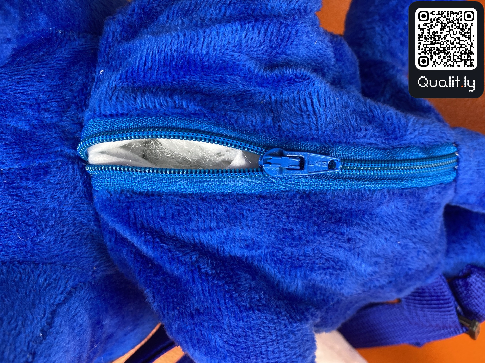 Bag QC photo 3 of 60