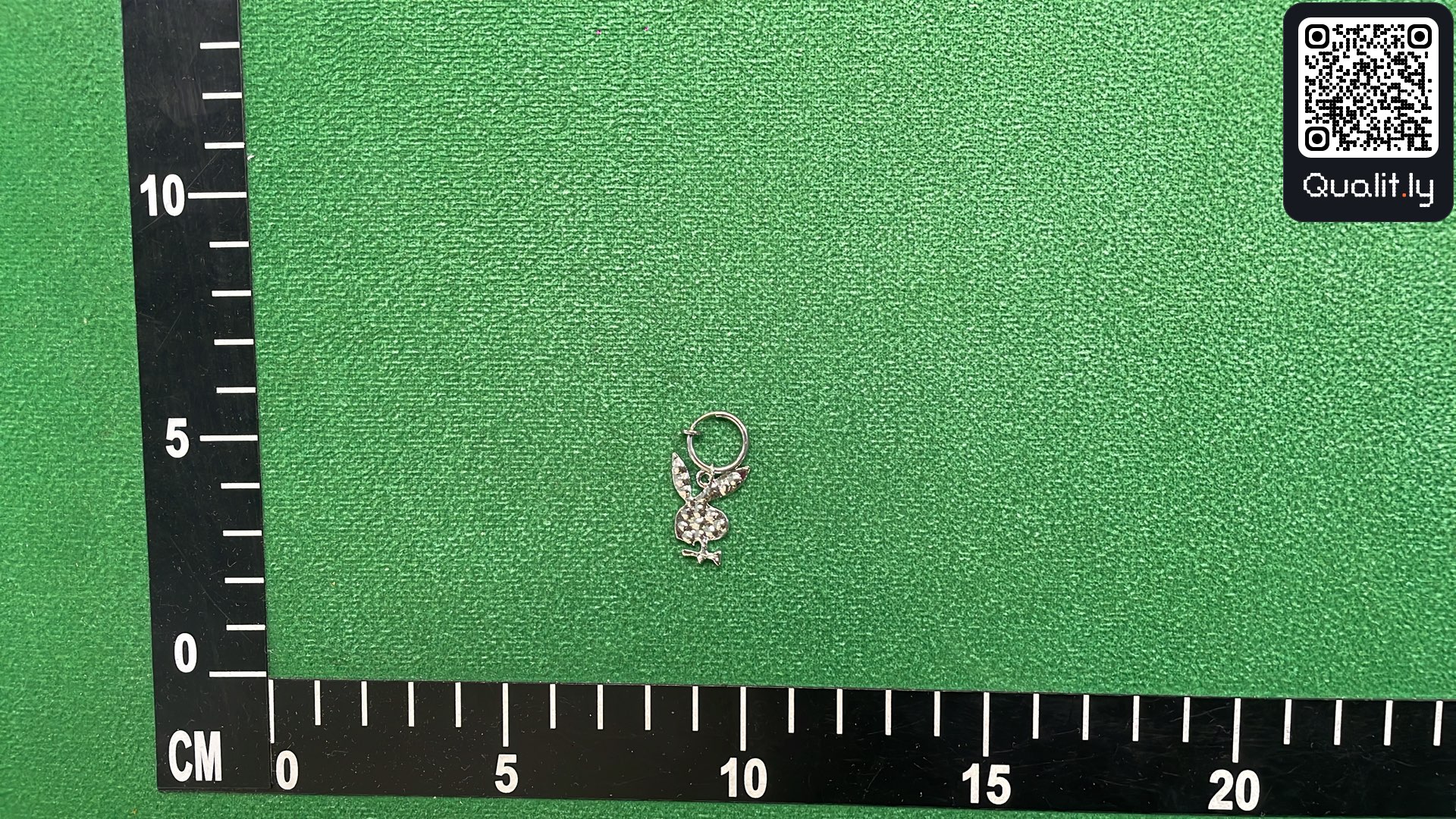 Jewelry QC photo 2 of 9