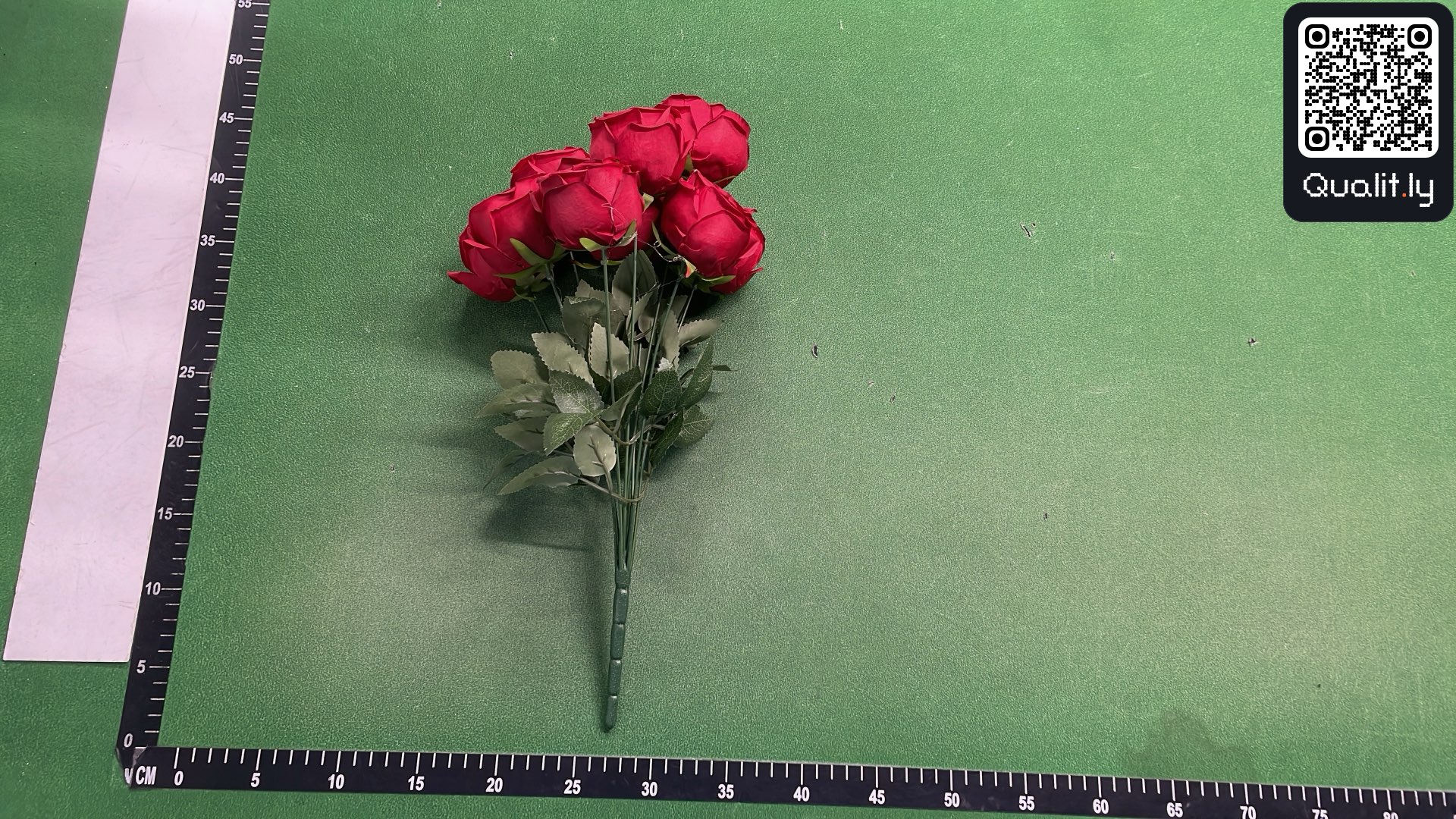 QC-foto 3 van 3