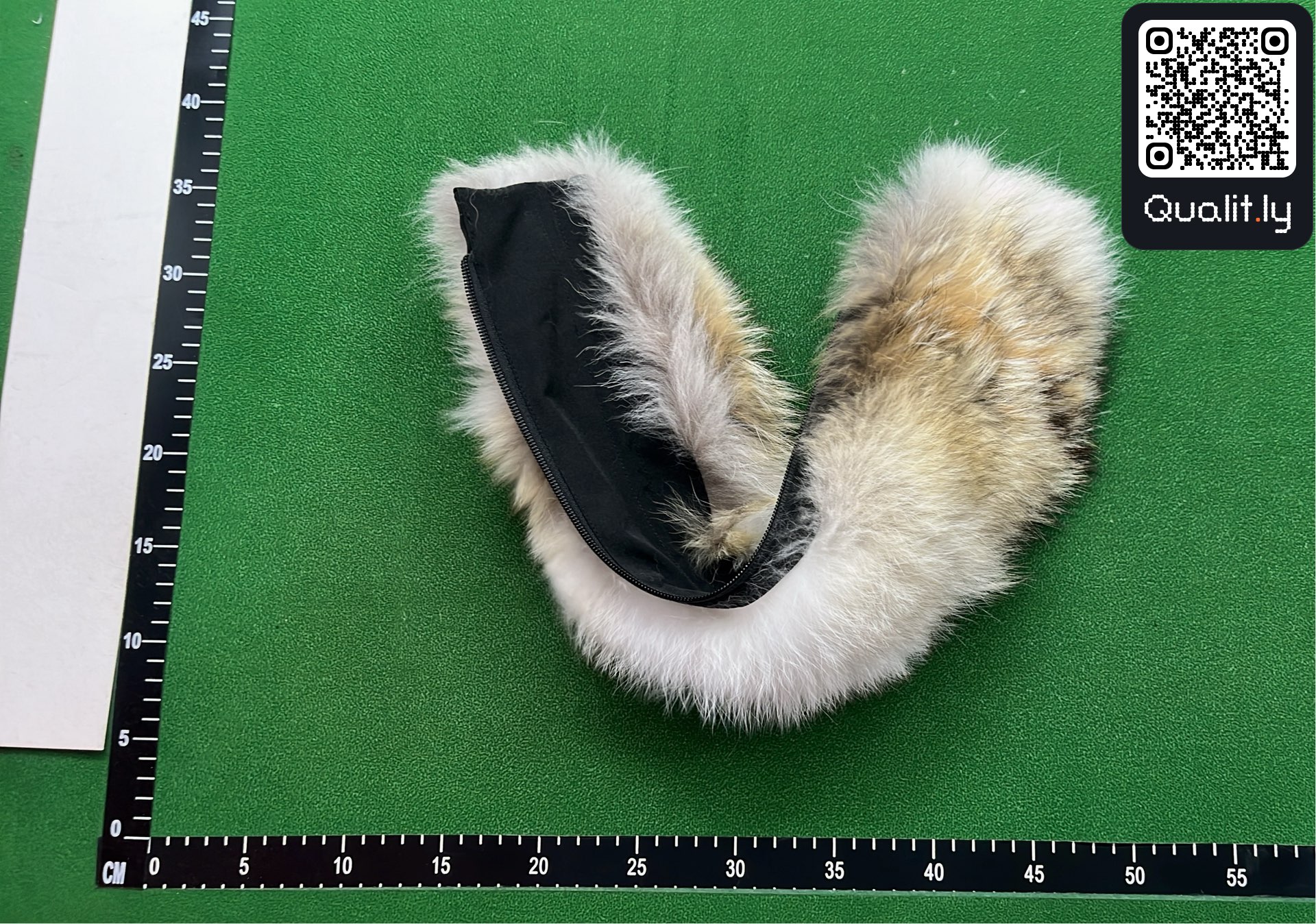 QC-Foto 2 von 3