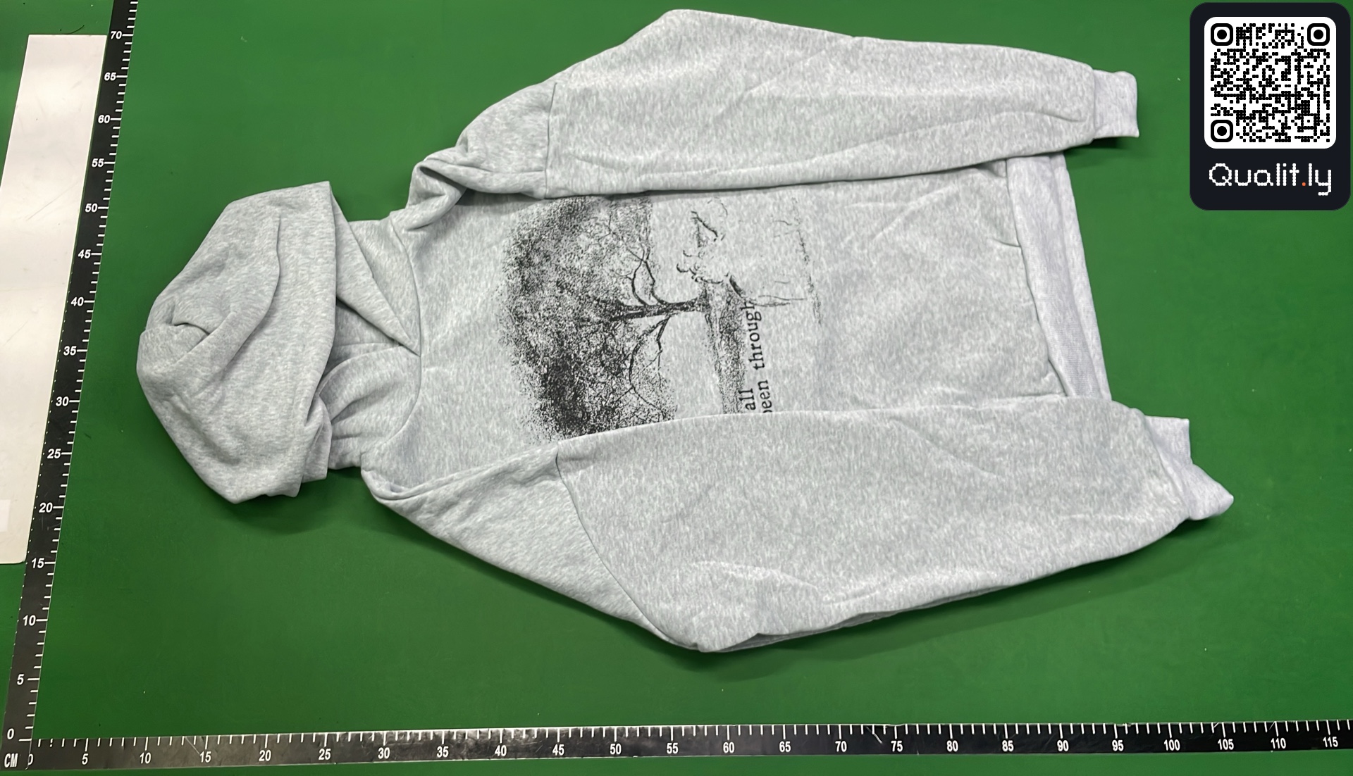 Hoodie QC photo 2 of 4