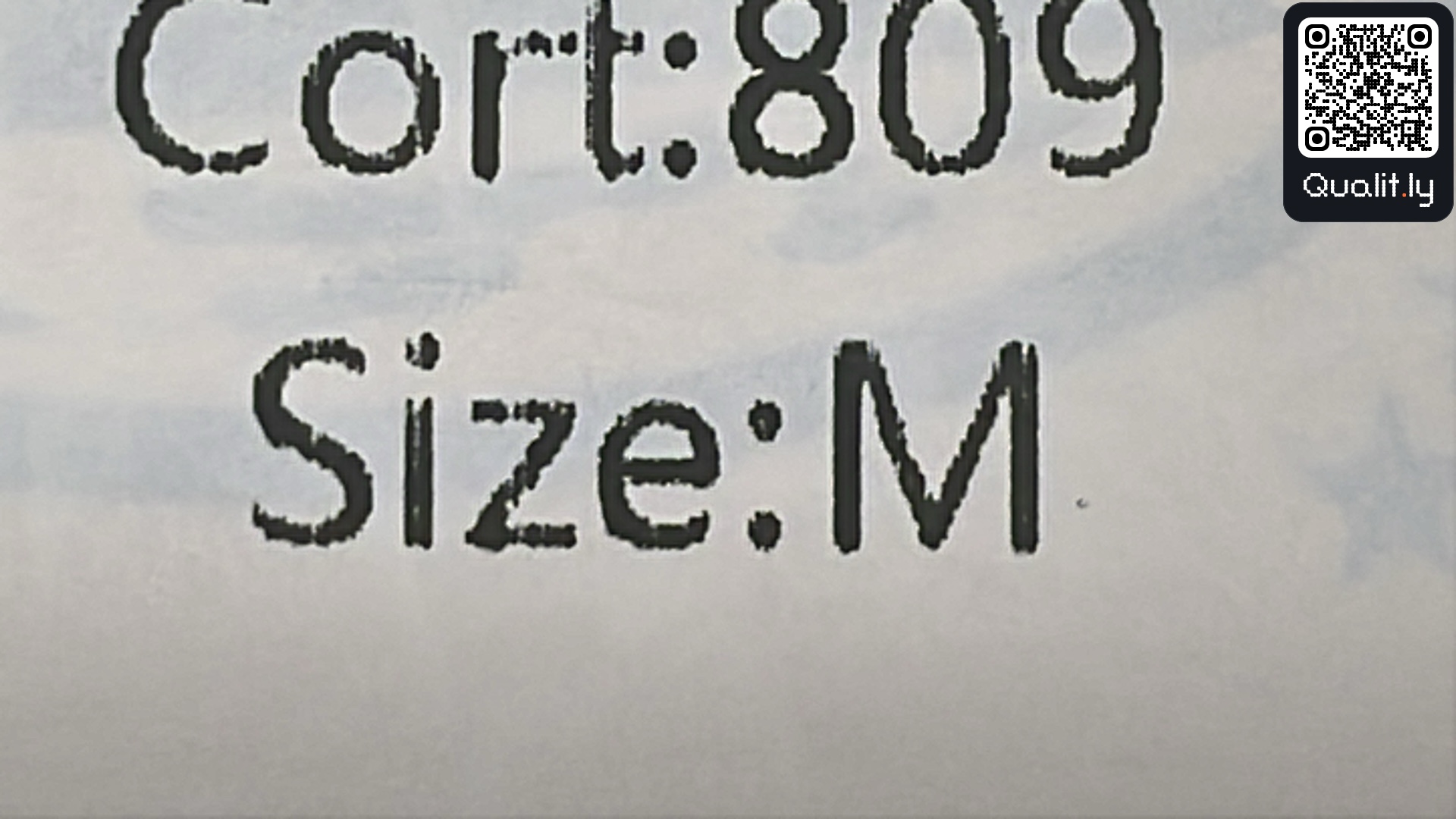 Shorts QC photo 1 of 270