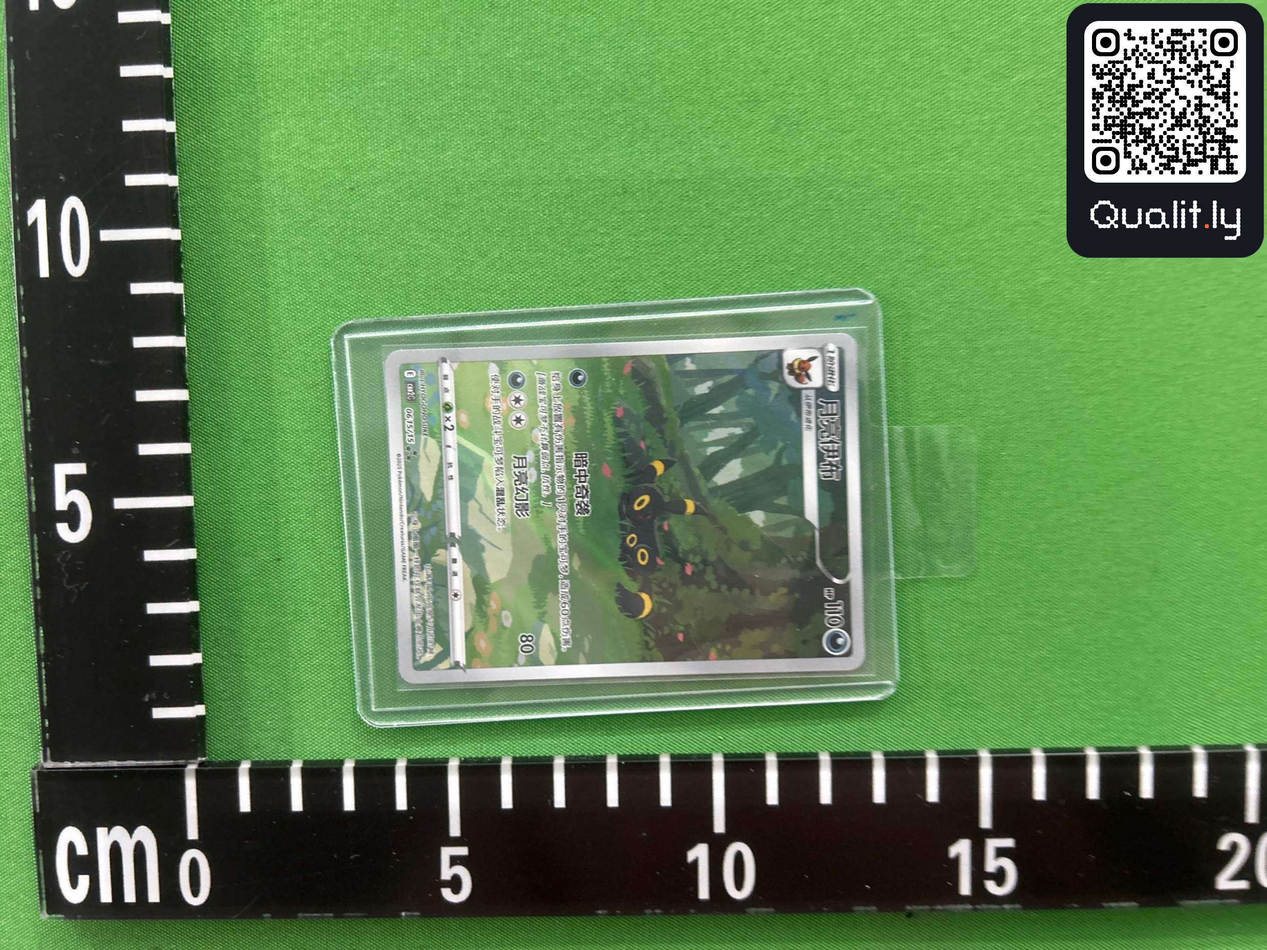 Foto QC 2 de 6