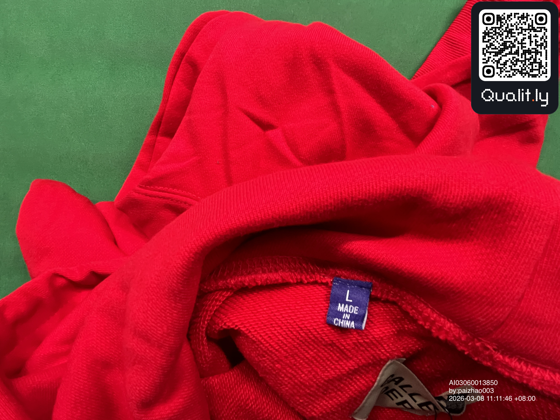 Sudadera con capucha — foto QC 1 de 30