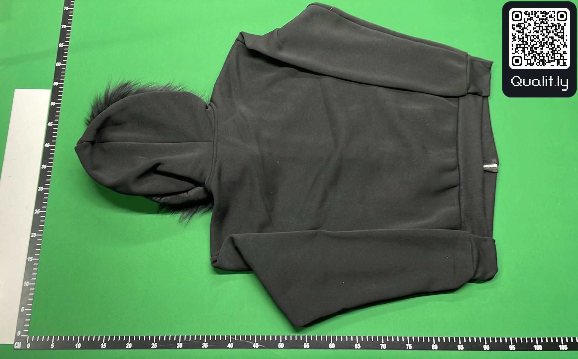 Hoodie QC photo 3 of 8