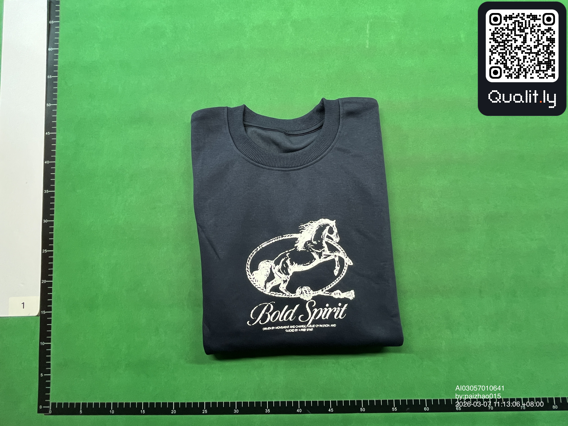 Sweatshirt QC photo 1 of 4
