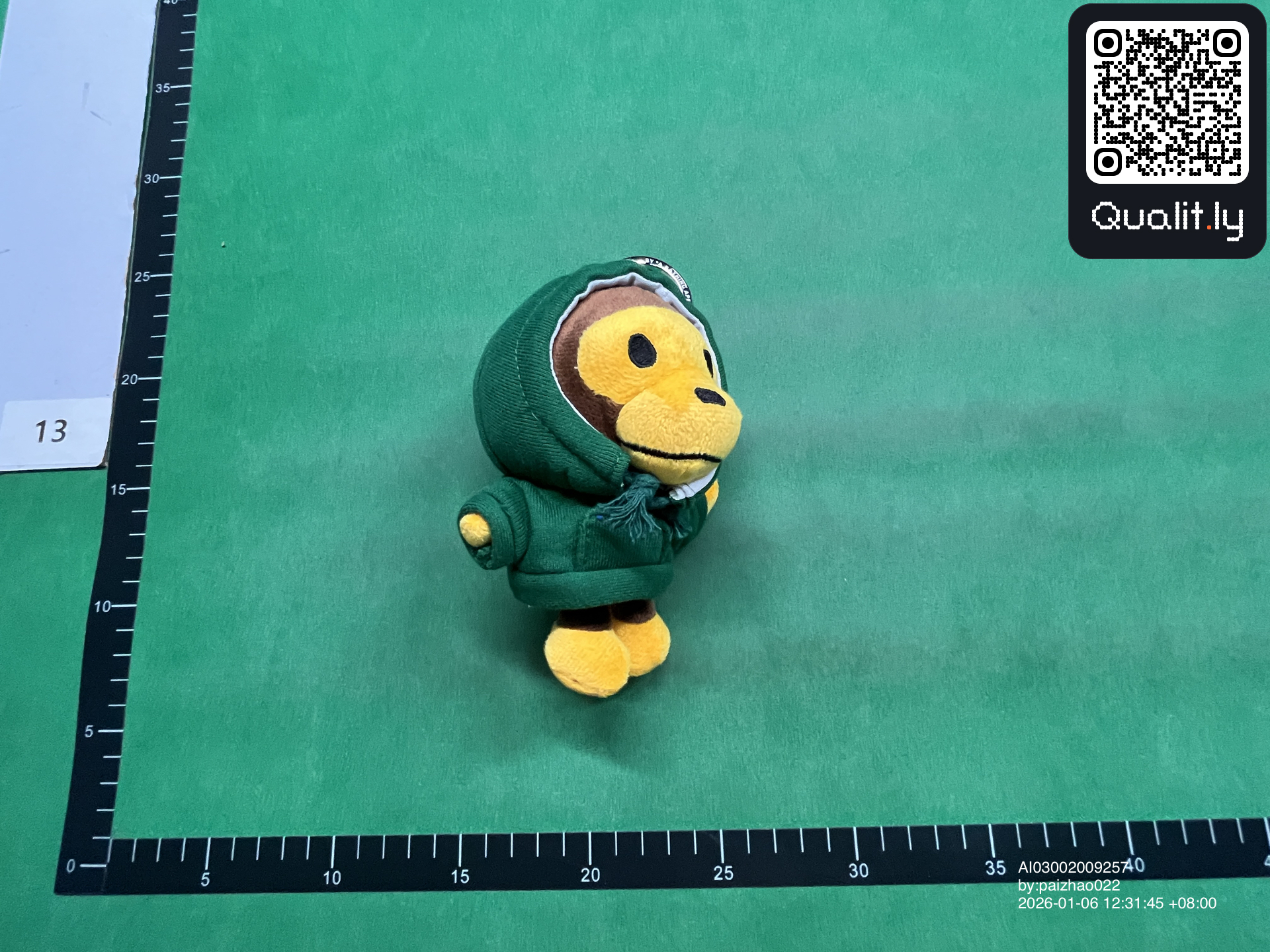 Bag QC photo 1 of 15