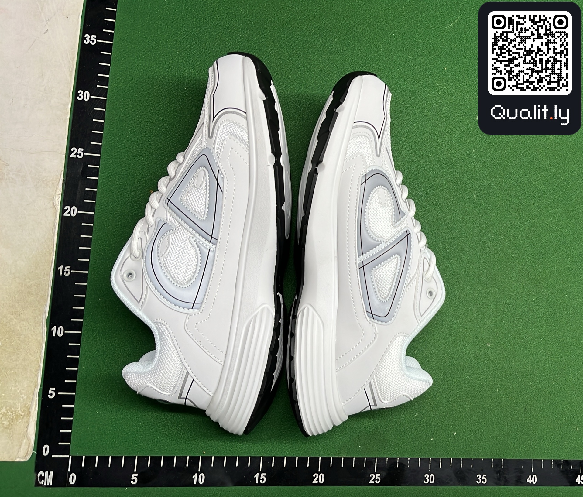 Dior Sneakers Grey QC photo 1