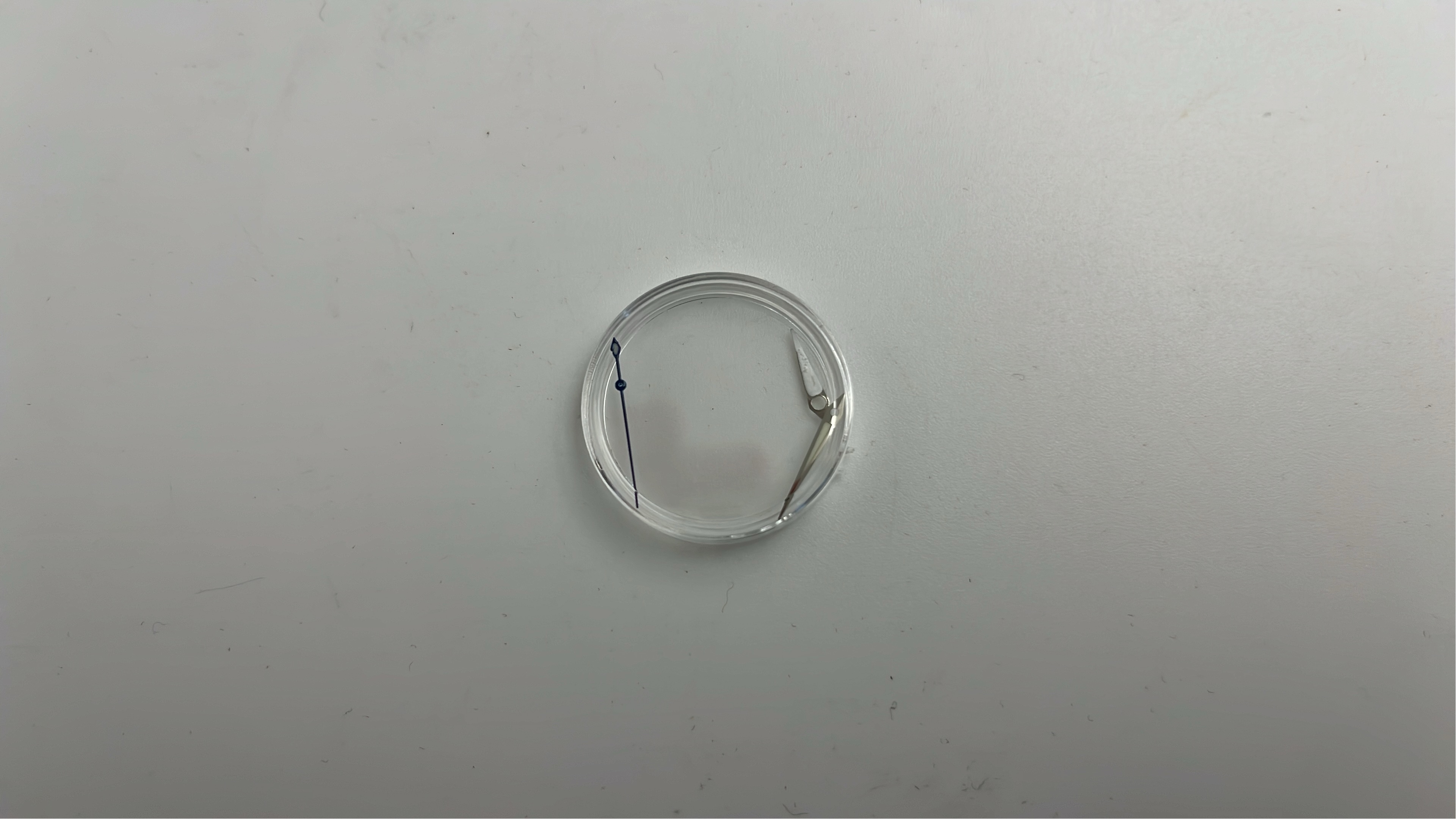 手表 QC 照片 2 / 6