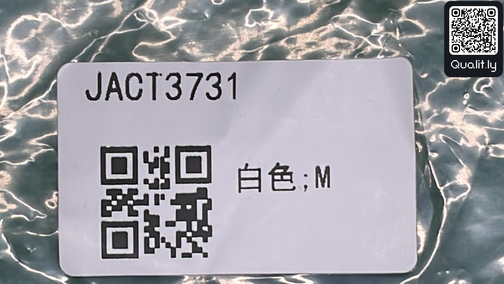 T-Shirt — QC-Foto 1 von 18