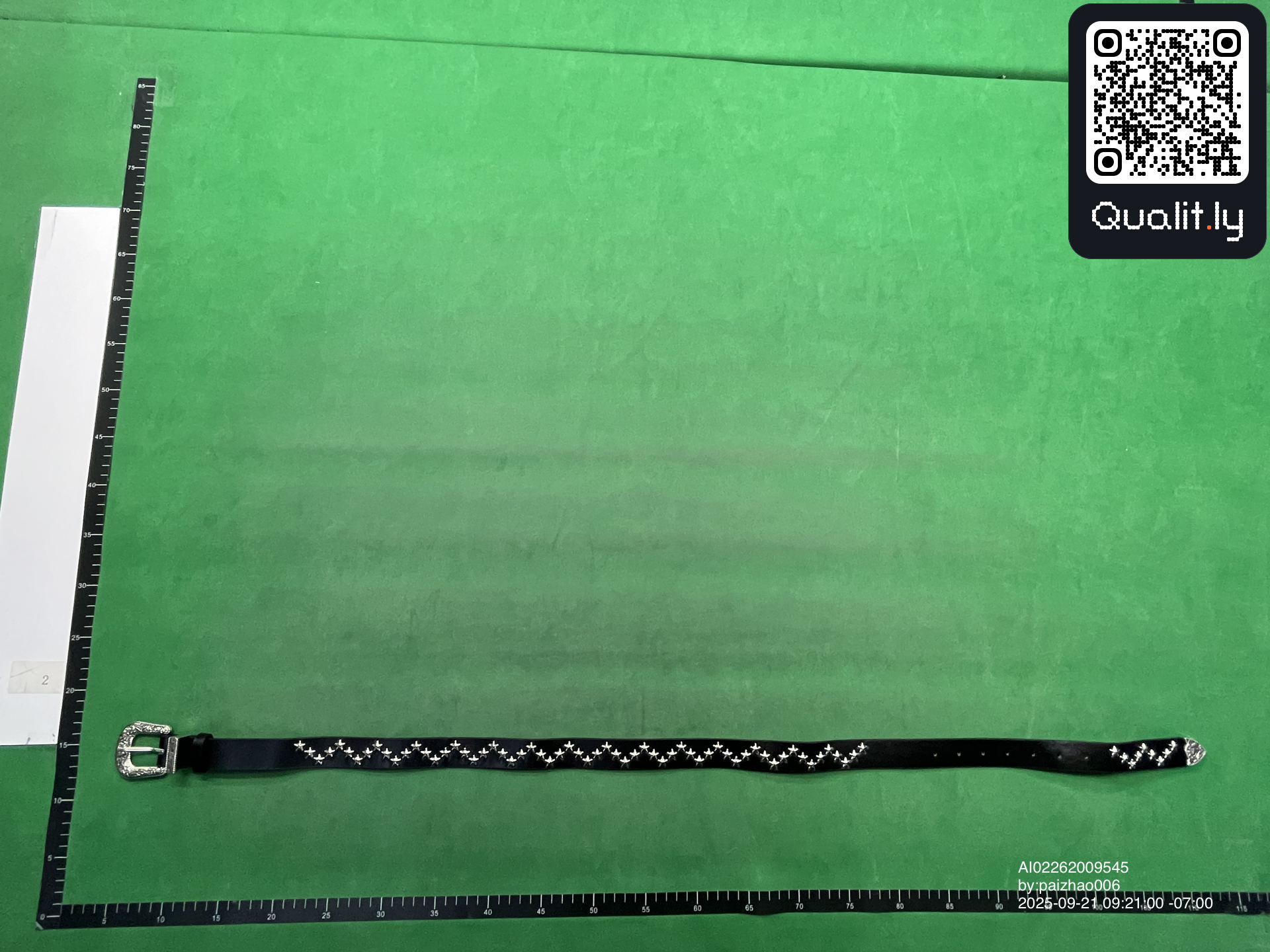 Belt QC photo 3 of 3