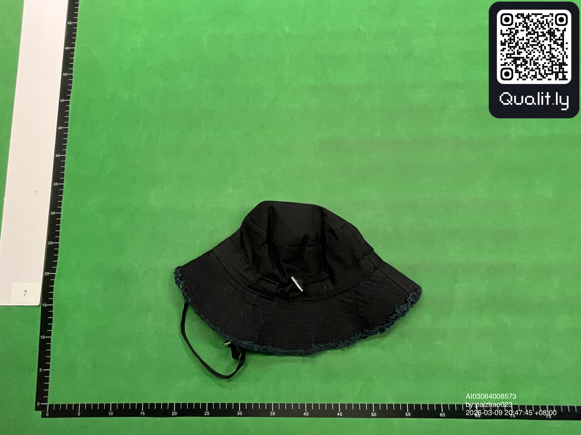 帽子 QC 照片 2 / 51