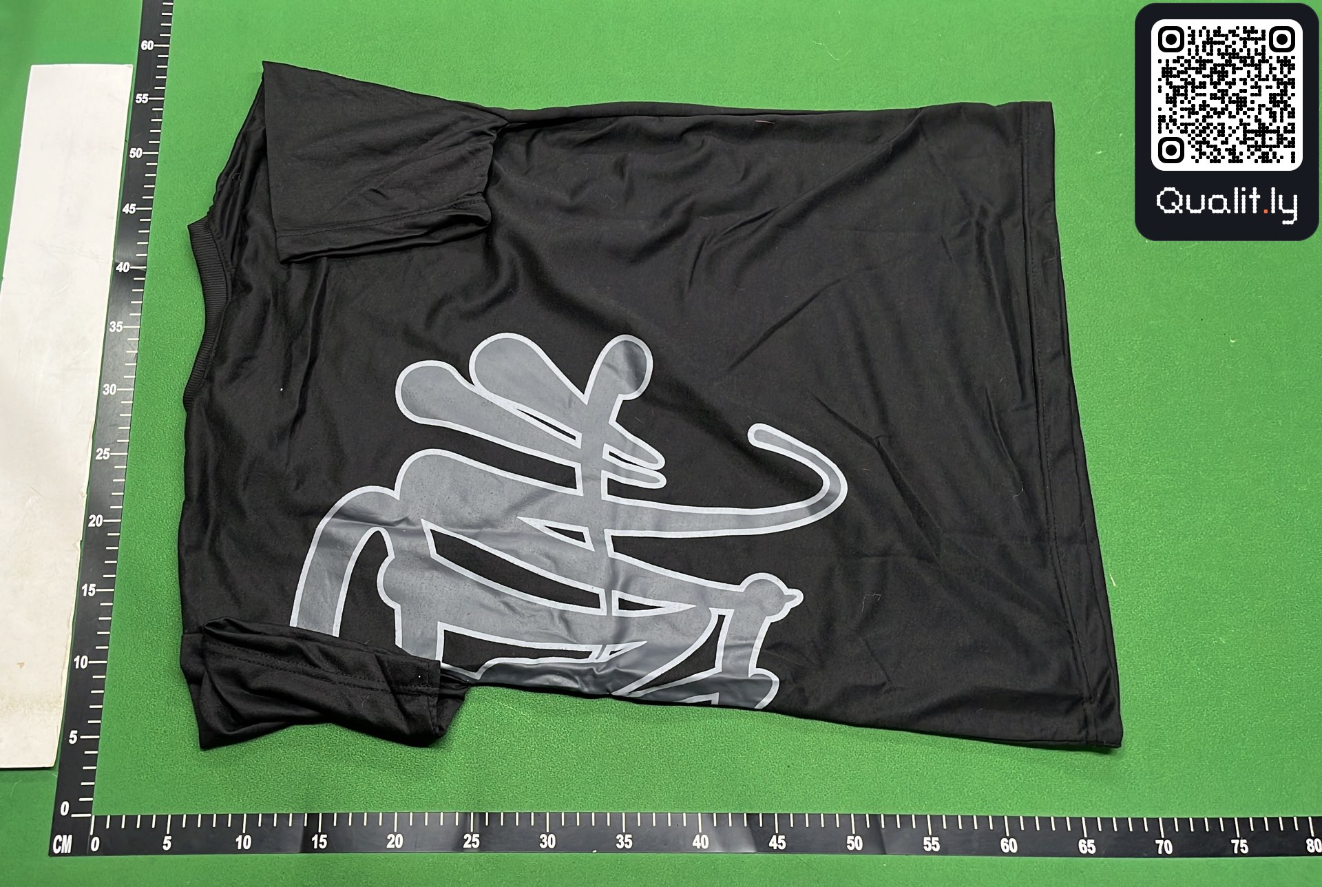 T-shirt QC photo 3 of 250