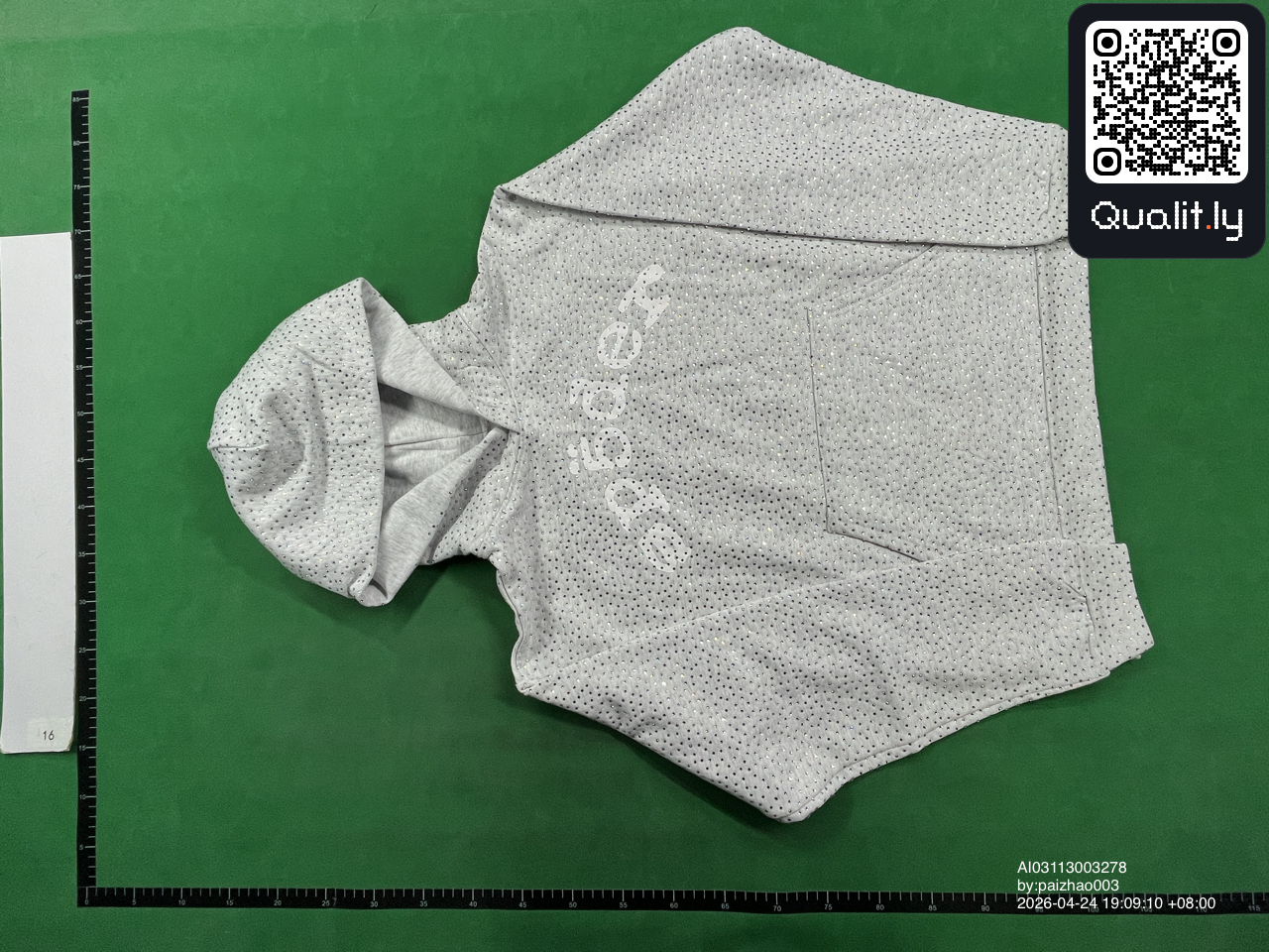 Hoodie QC photo 3 of 4