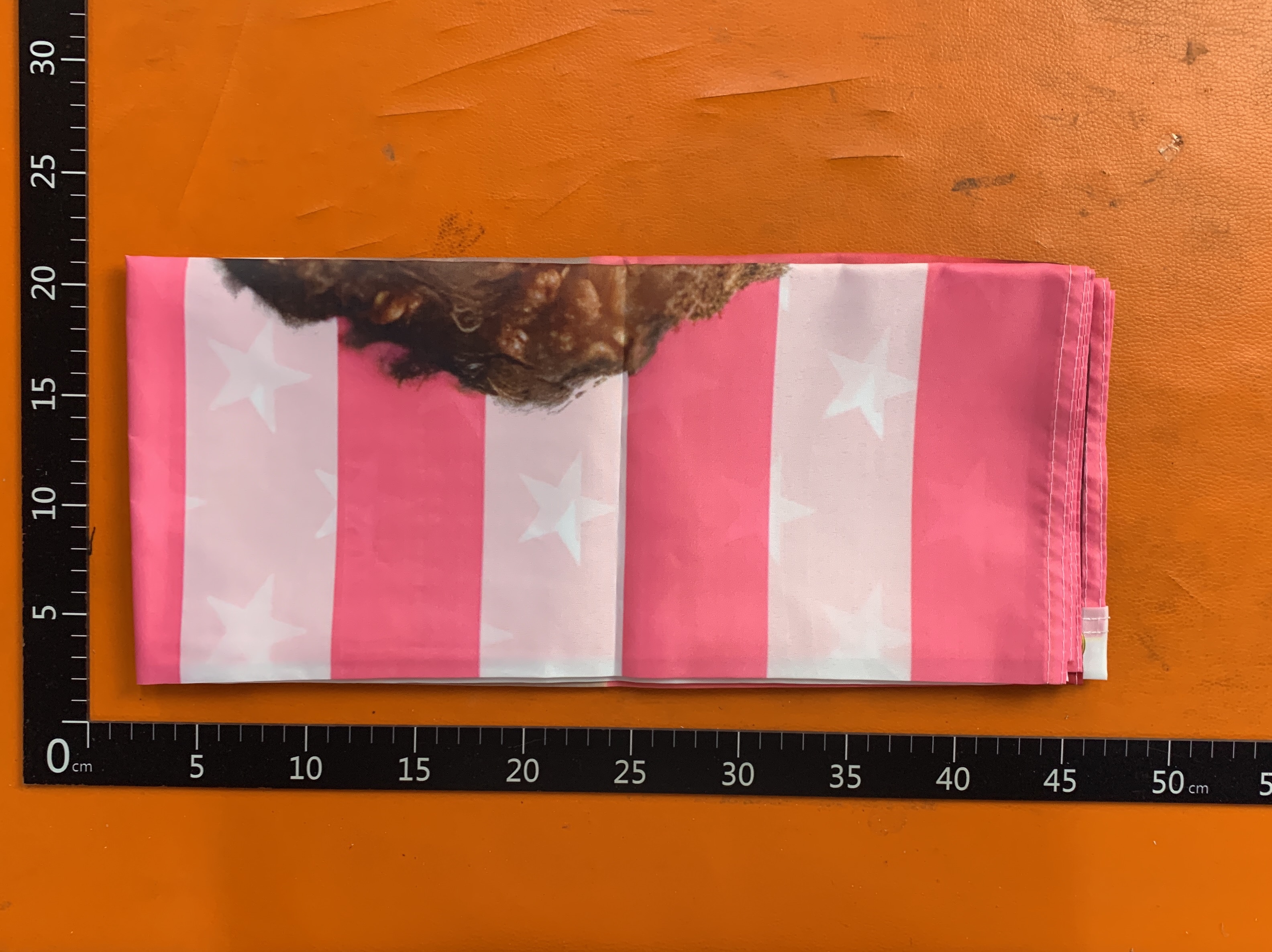 QC-Foto 2 von 51