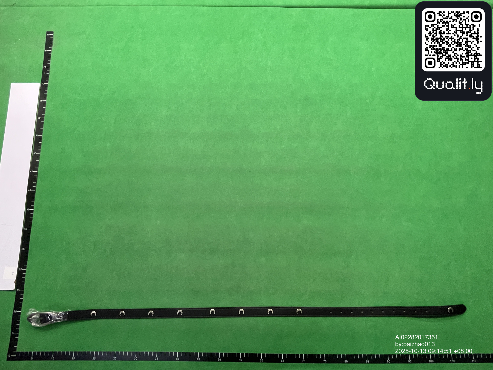 Belt QC photo 3 of 6