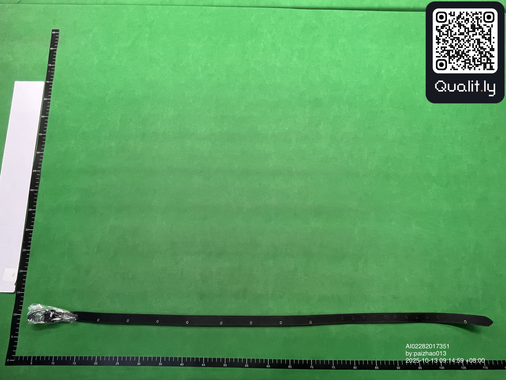 Belt QC photo 2 of 6