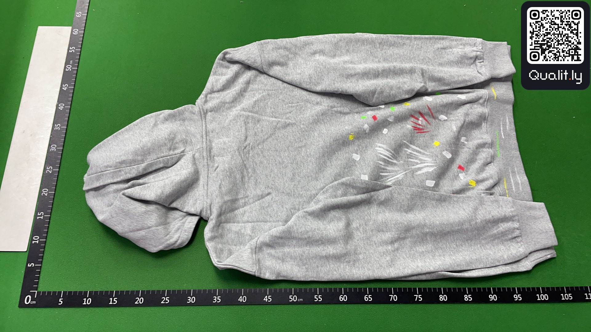 Hoodie QC photo 3 of 82