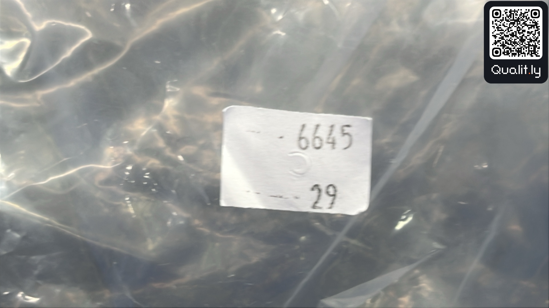 牛仔裤 QC 照片 1 / 12