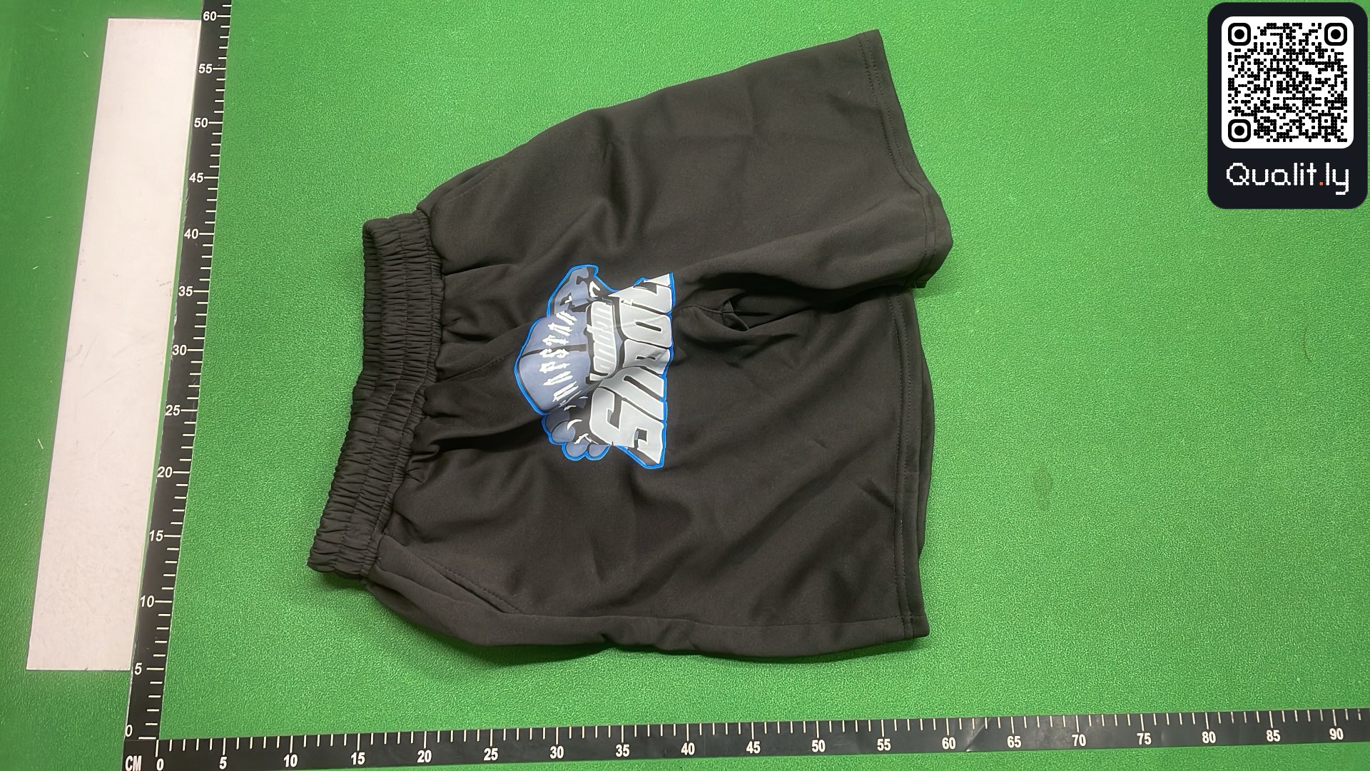 Shorts QC photo 2 of 18