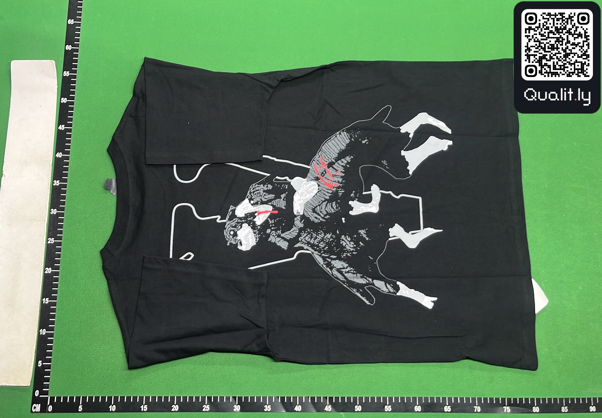 T-shirt QC photo 3 of 48